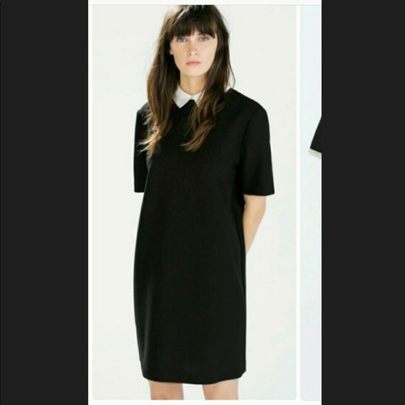 zara peter pan collar dress